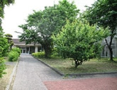 校庭2の写真